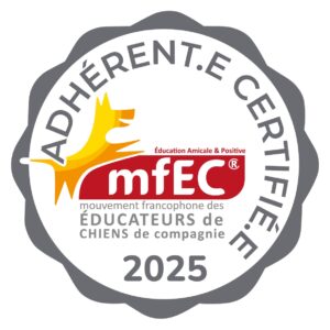 Education canine Amicale & Positive